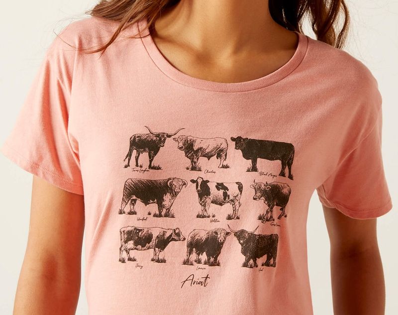 Ariat Women's Cow Chart T-Shirt - Sunset Heather